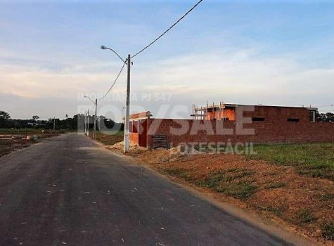 nova-manaus-reserva-especial (5)